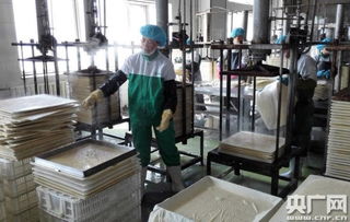 天人和 寧夏食品企業榮膺中國豆制品樣板工廠，引領健康飲食新風尚